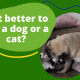 Which Pet Is a Better Fit: A Cat or a Dog?