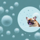 Unleashing the Potent Potential of VIBACSIL NANOSILVER: A Natural Marvel for Pets and Beyond